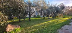 Case vacanza "Gli Ulivi" img1