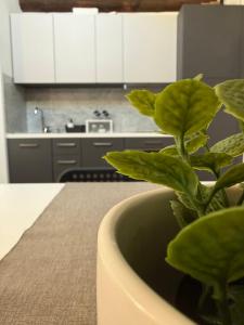 Appartamento moderno centro parma con ascensore
