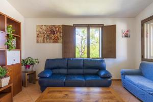 Casa Vacanze l'Olivastro img12