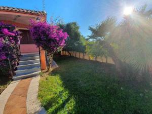 Casa Vacanze l'Olivastro img13