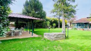 Villa alle Rane - Lake, Beaches and Art in Tuscany