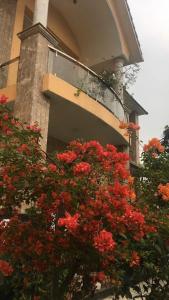 Kim An Sadec Garden House