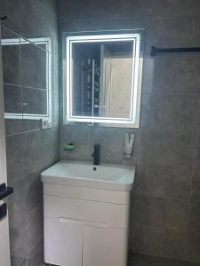 Modern Comfort Studio