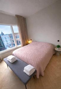 Luxury apartment in heart of Reykjavik