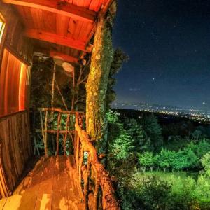 Biciting Casita en el Árbol con Terraza