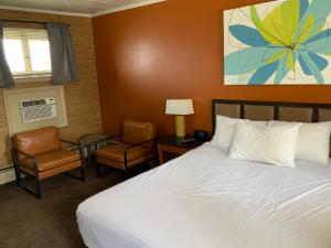 The Triangle Motel