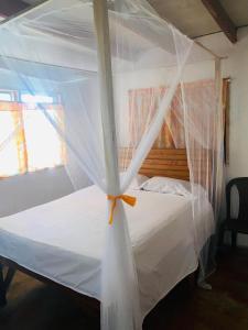 Cabañas Ecológicas in Tela