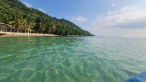 Cabañas Ecológicas in Tela