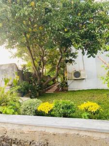 Lithwa Lanka
