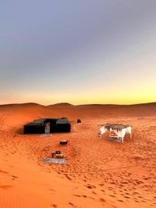 Andromeda Sahara Camp