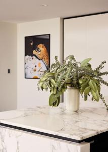 The Knox, Double Bay IH