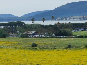 TRAMONTANA BEACH img2