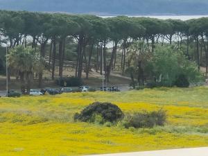 TRAMONTANA BEACH img31
