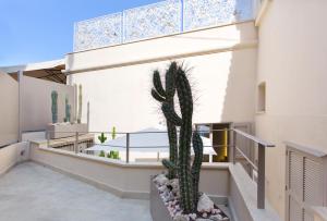 Tropea Vetera Luxury Home- Casa Forno 1638