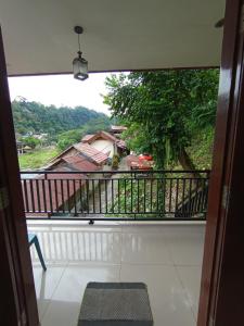 Monkey Business Tours & Accommodation