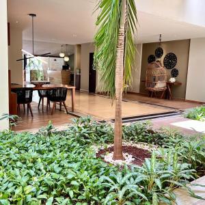 Departamento con Jacuzzi en Playa del Carmen