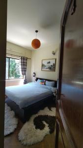 Serene Solace apartment at boudha kathmandu