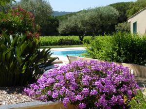 Appartements Residence Les Sellettes : photos des chambres