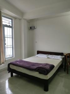 Windfall Homestay