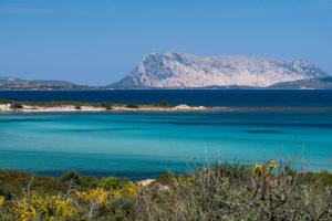 Villa Molarotto img9