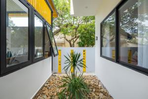 Amber Homestay Huế