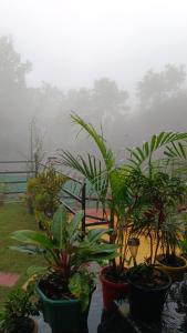The Grand Kalimpong