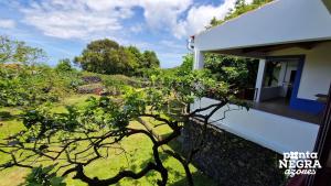 The North House by Ponta Negra Azores