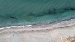 Roulotte Vintage con accesso spiaggia img21