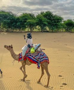 Jaisalmer Friend Overnight Camel Safari