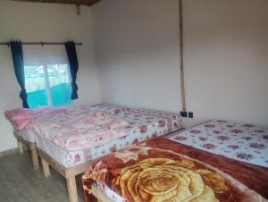 Kings jungle safari & Culture home stay