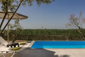 Olive Grove Villa