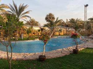 Al Ali Island