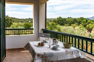 La Vinya Bou Ros by Villa Select