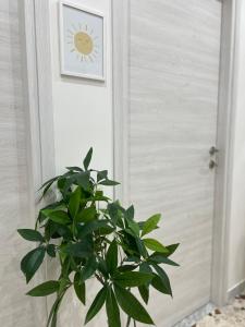 La Casa Del Sole Napoli
