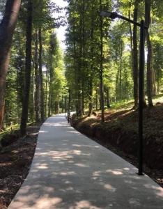 Quiet Forest Apartment in Bakuriani - Monthly Rent