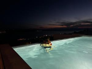 Luxury Sea View Villa