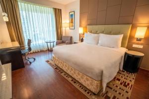 Radisson Blu Pune Hinjawadi