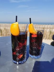 Luxus Chalet in Kamperland