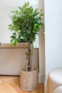 Elegant 1BR near Praca Comercio w elevator and AC