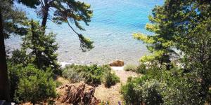 LUX attic old town Rab