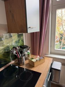 Haus HarzZauber - Historisches Altstadt Appartement mit Kamin und komfortabler E-Bike-Nutzung