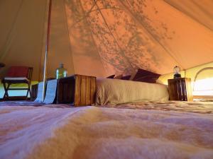 Nid et Toiles