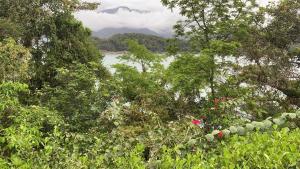 Private Island - Secretum Paraty