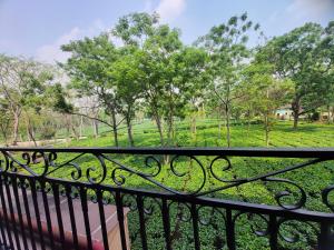 Tusker Tea County