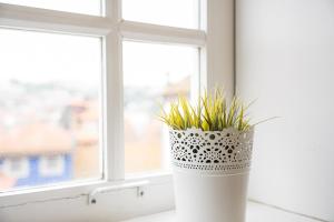 GuestReady - Ribeira Apt in Porto center