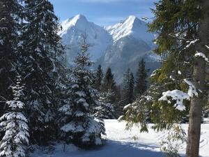 Wellness Penzion Strachan