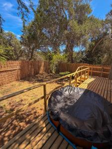 Desconéctate bajo las estrellas y naturaleza