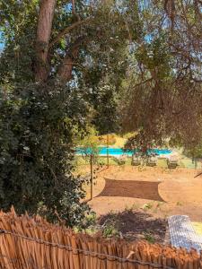 Desconéctate bajo las estrellas y naturaleza