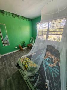 Bluebeat House Exuma