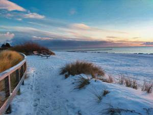 Küstenzauber 14 - Muschelsucher
